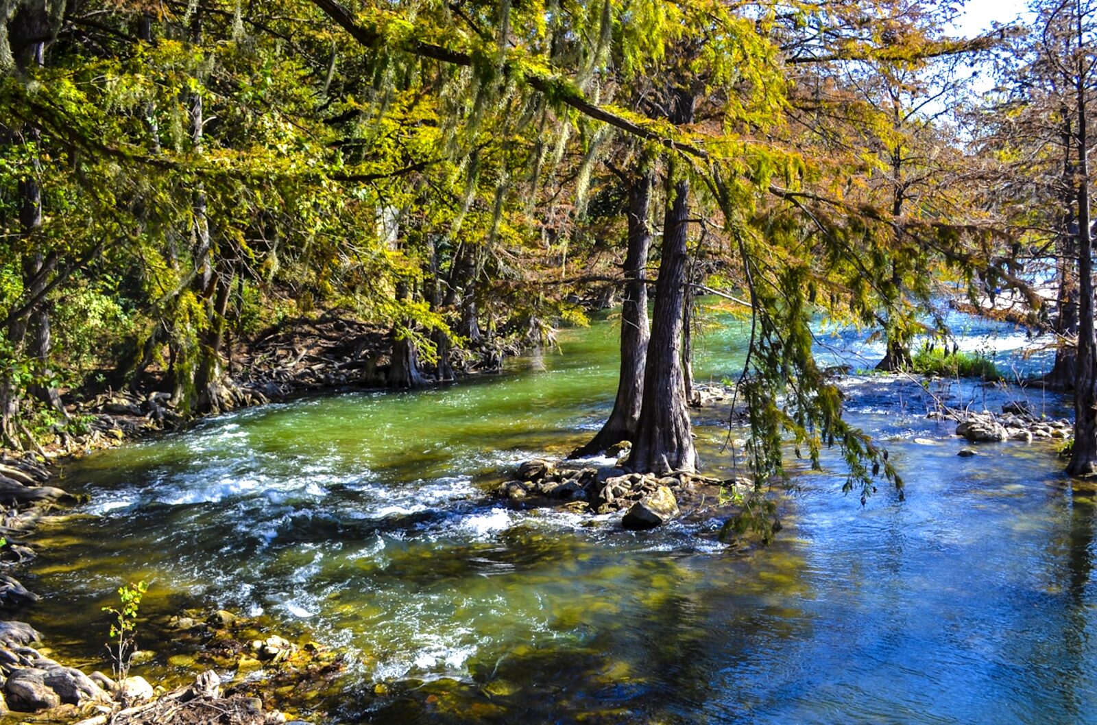 Janitorial cleaning services New Braunfels TX — commercial office cleaning and facility maintenance for New Braunfels businesses in Comal County.
